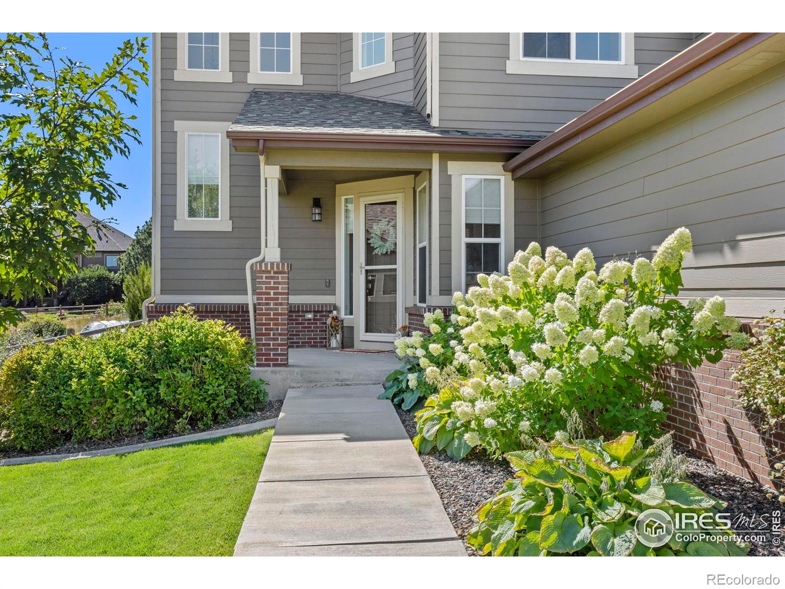 MLS Image #3 for 8265  blackwood drive,windsor, Colorado