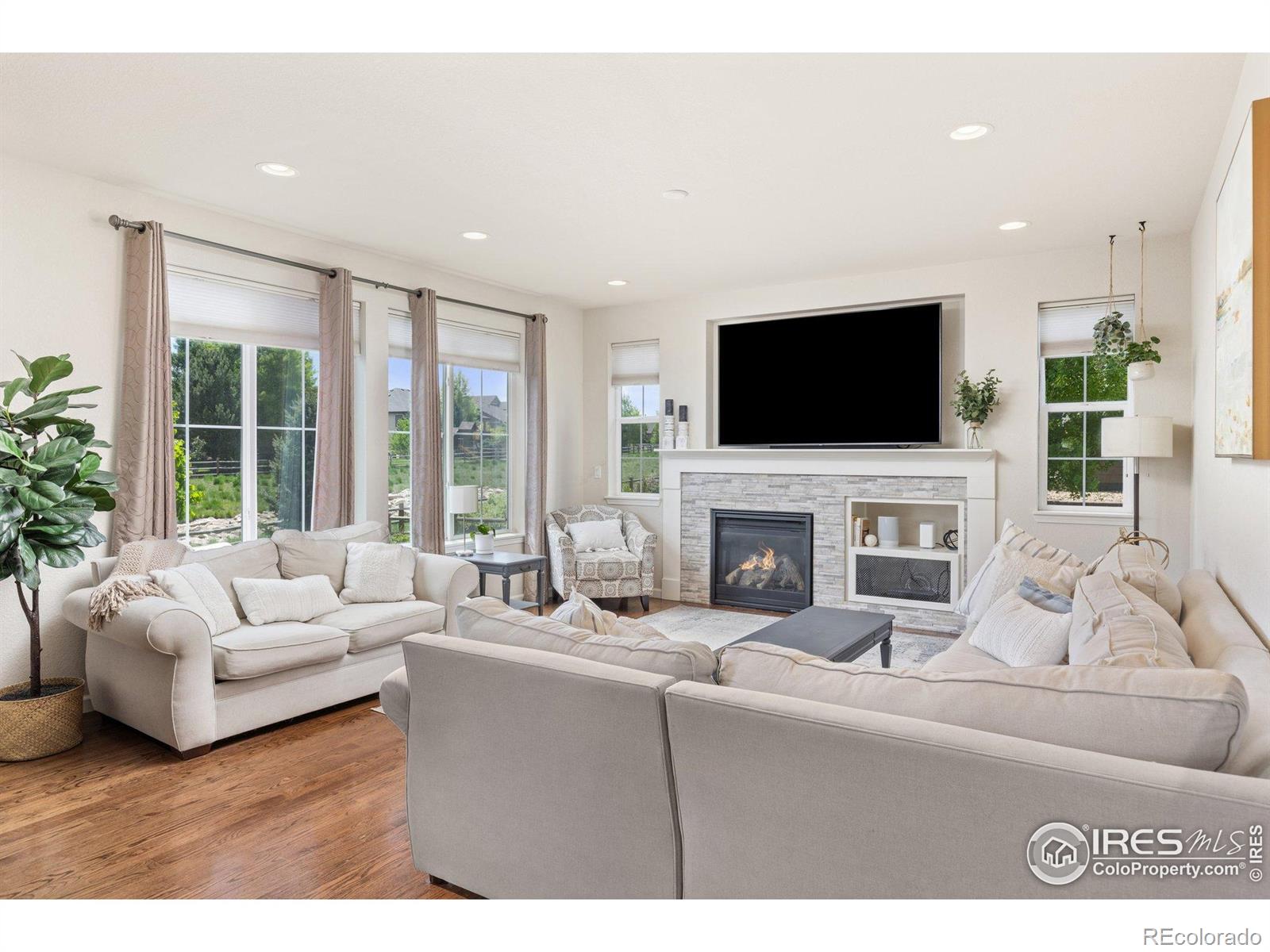 MLS Image #5 for 8265  blackwood drive,windsor, Colorado