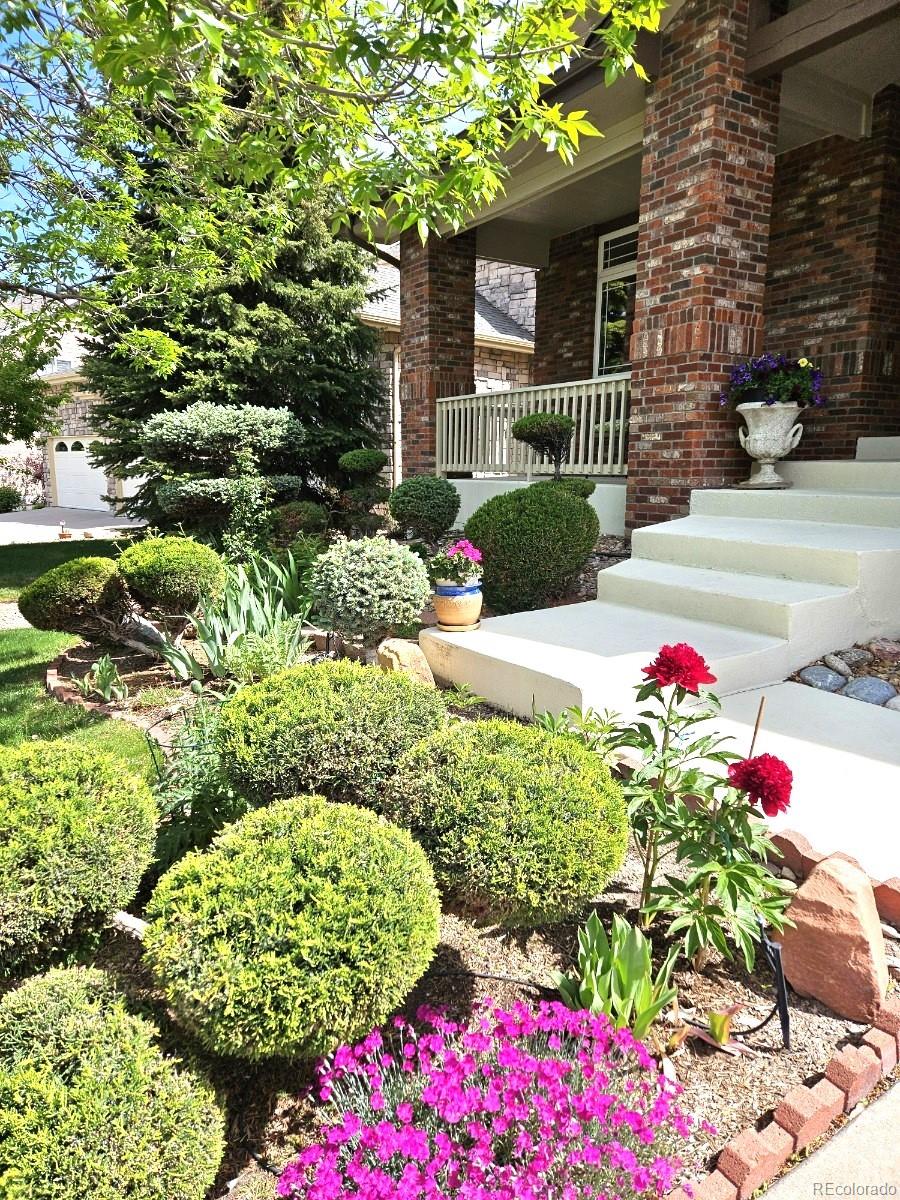 MLS Image #3 for 7132 s tempe court,aurora, Colorado