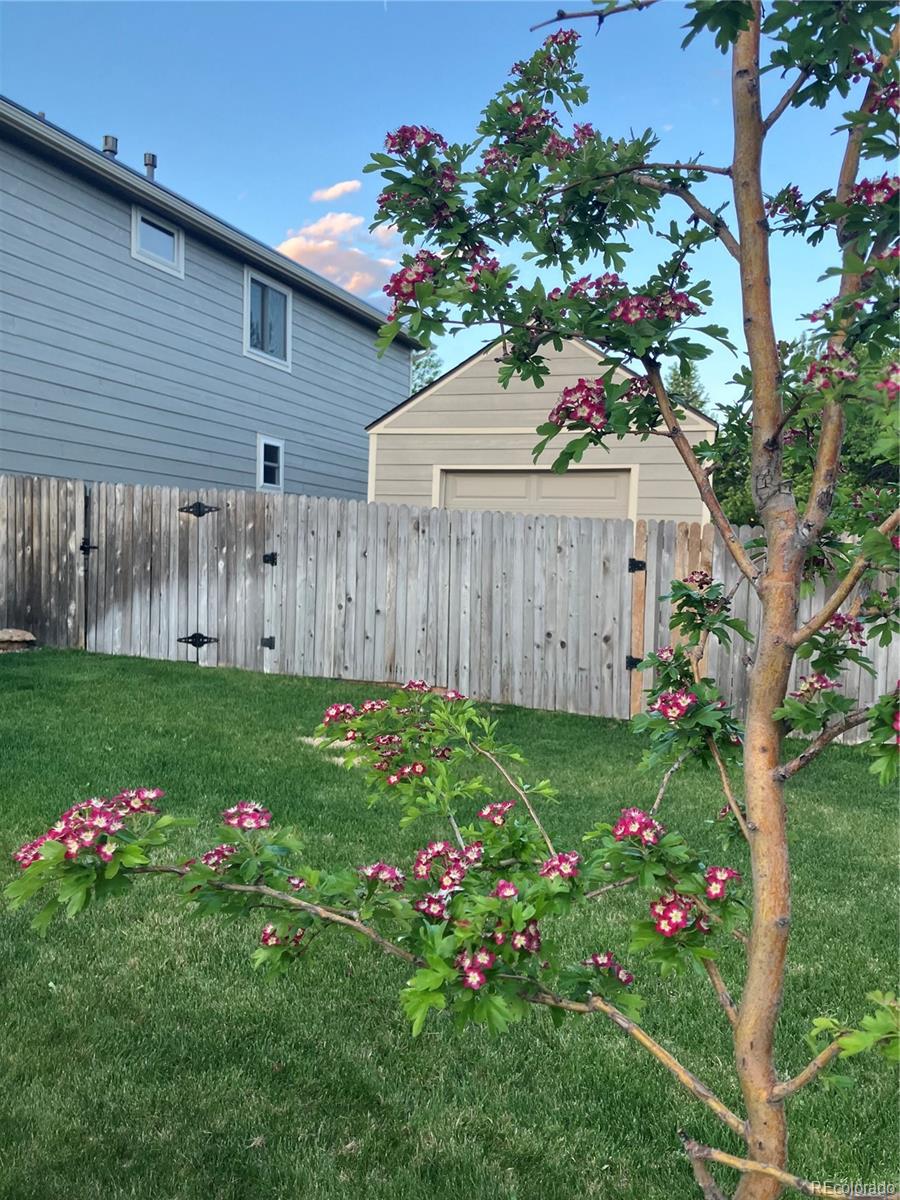 MLS Image #28 for 4814  kingbird drive,frederick, Colorado