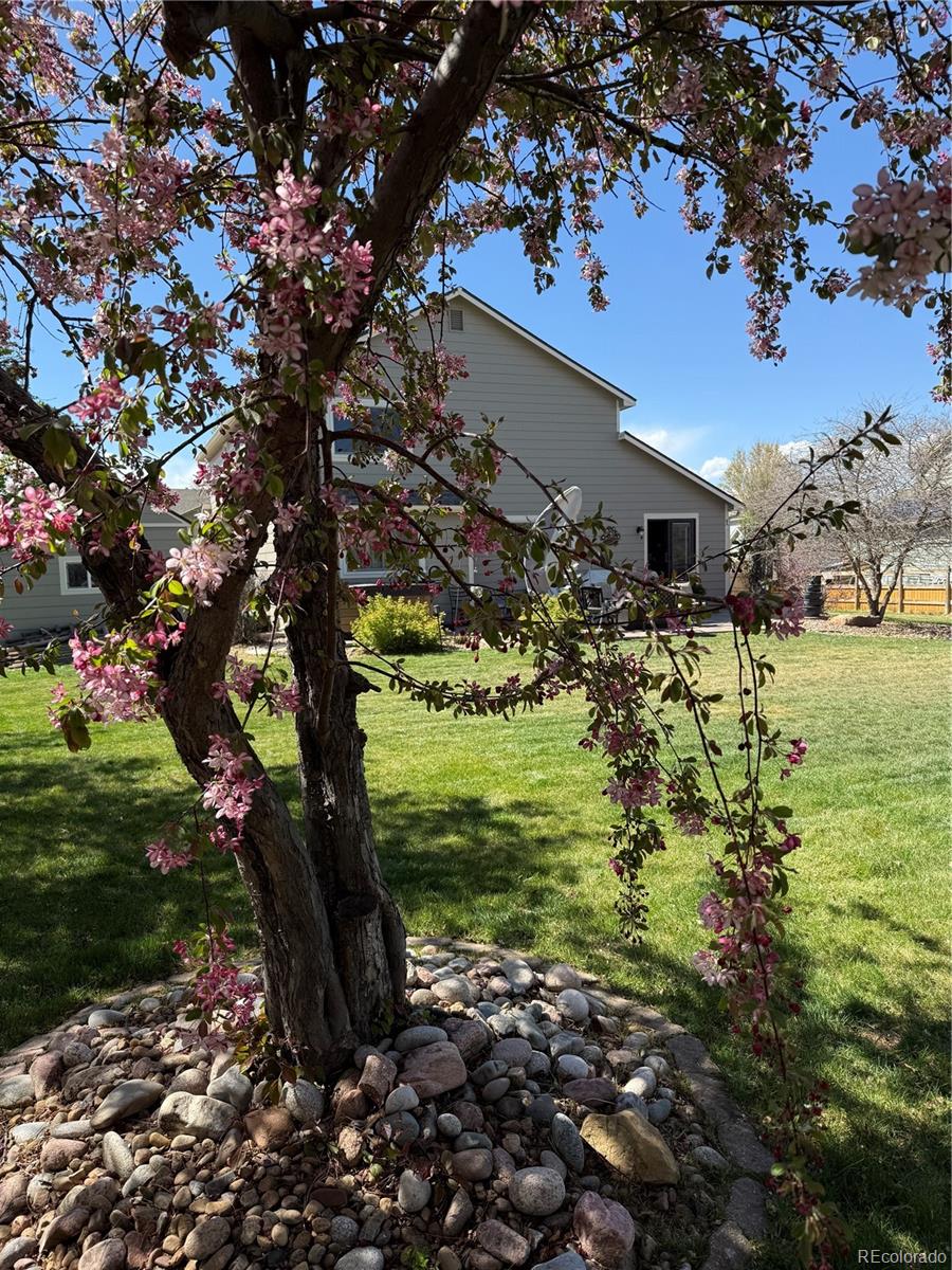 MLS Image #29 for 4814  kingbird drive,frederick, Colorado