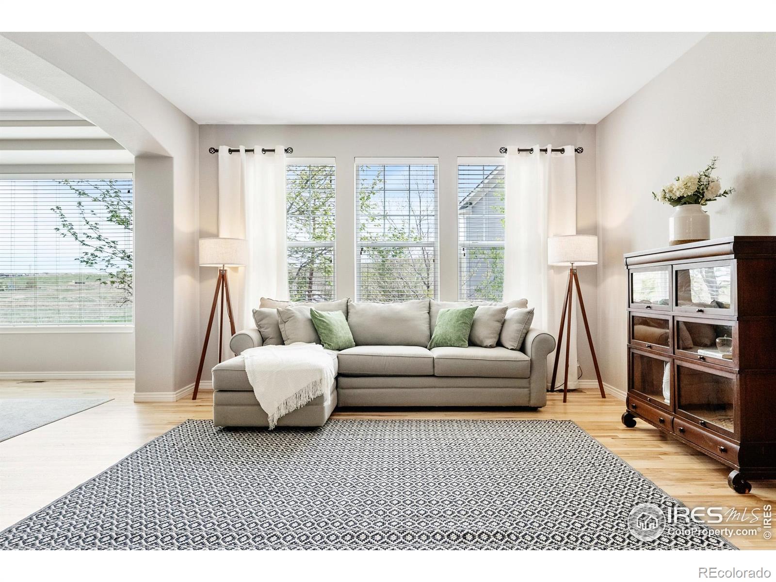MLS Image #6 for 123  ortega court,erie, Colorado
