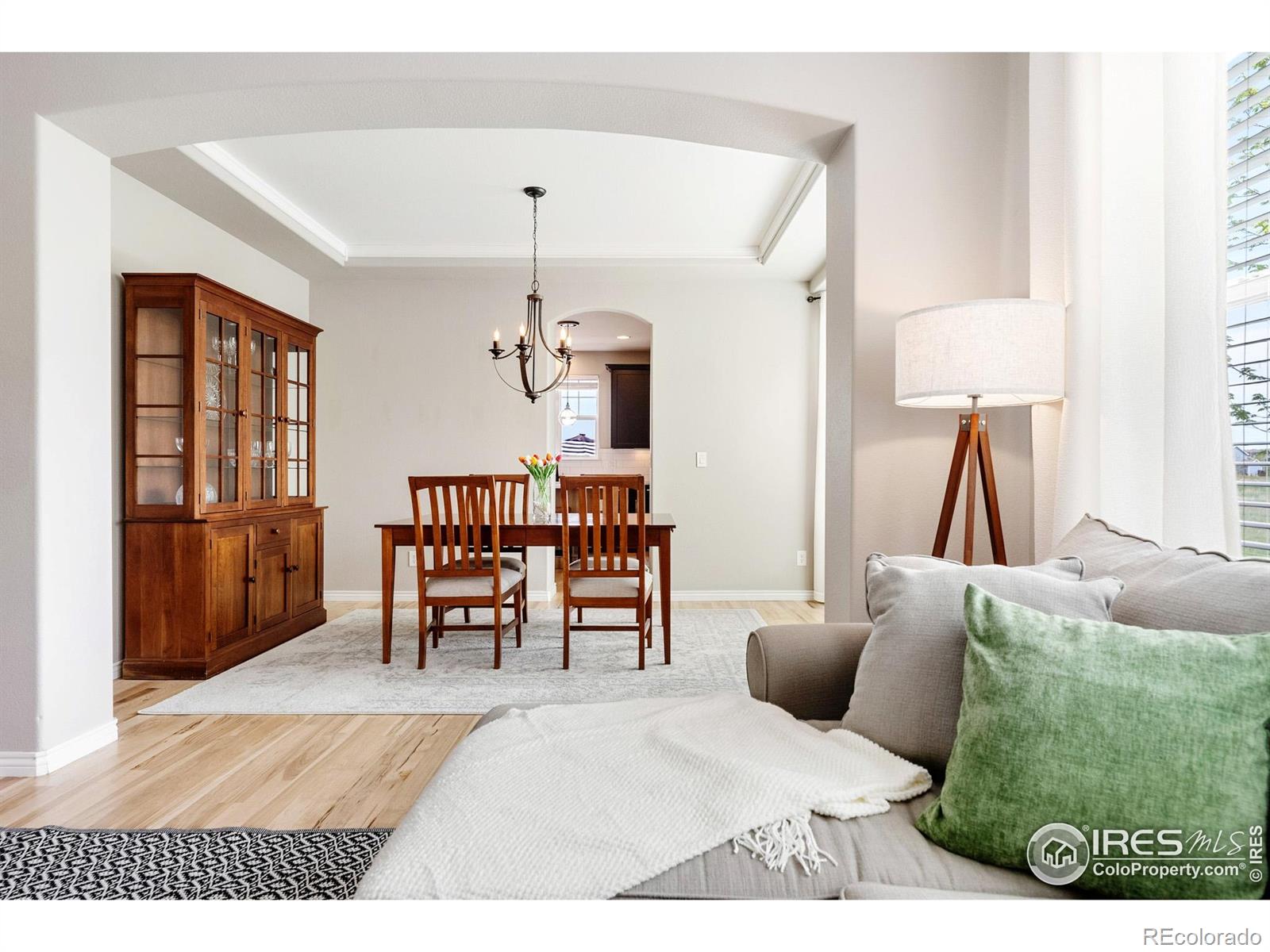 MLS Image #7 for 123  ortega court,erie, Colorado