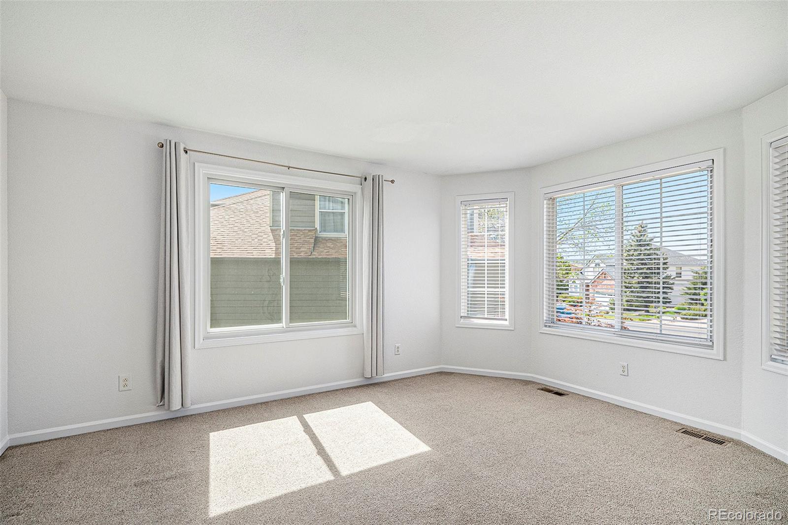 MLS Image #5 for 510 w prestwick way,castle rock, Colorado