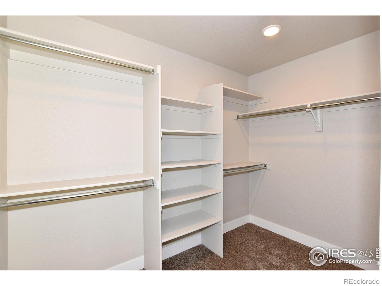 MLS Image #13 for 5063  prairie lark lane,severance, Colorado