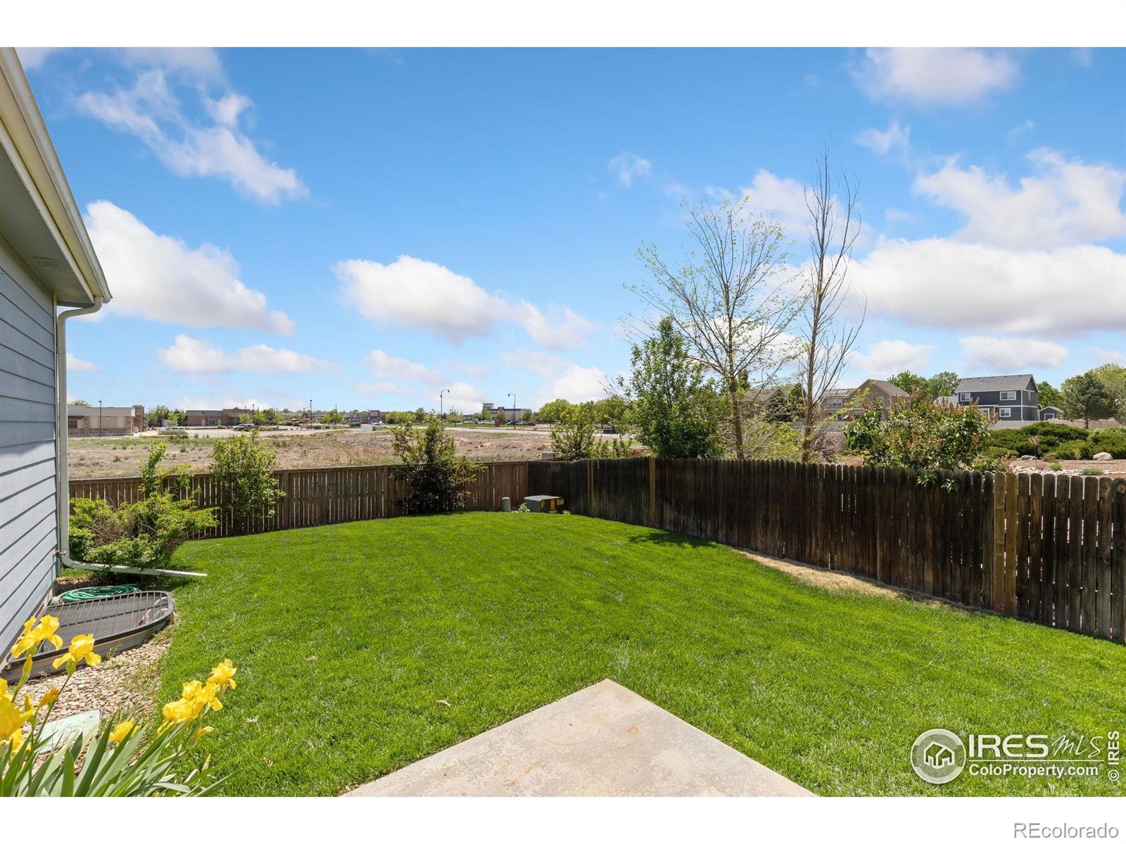 MLS Image #22 for 6054  ulysses avenue,firestone, Colorado