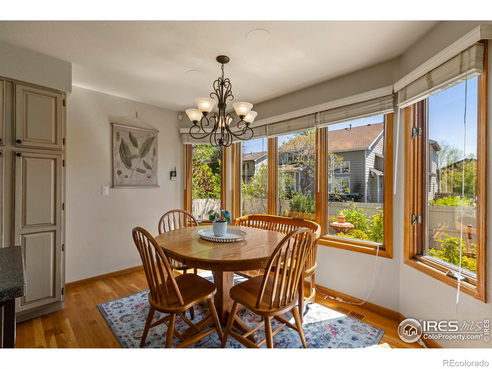 MLS Image #14 for 3712  rochdale drive,fort collins, Colorado