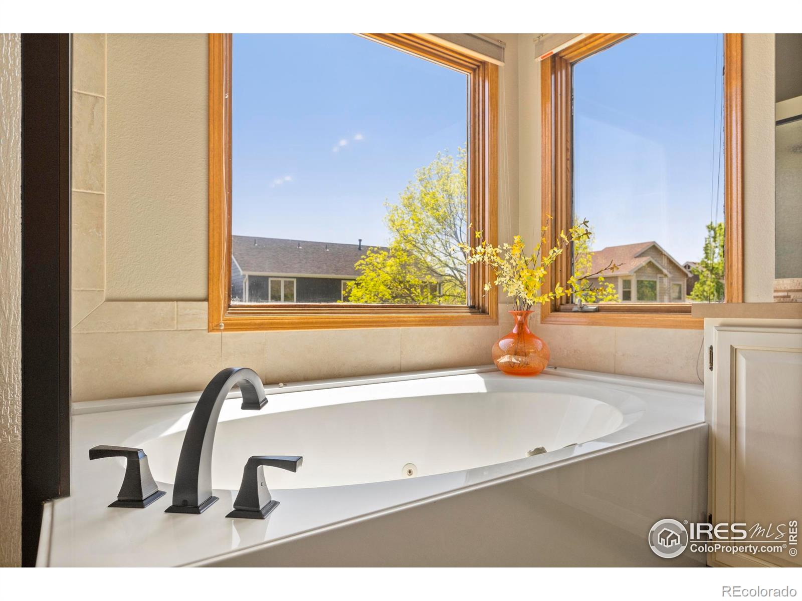 MLS Image #26 for 3712  rochdale drive,fort collins, Colorado