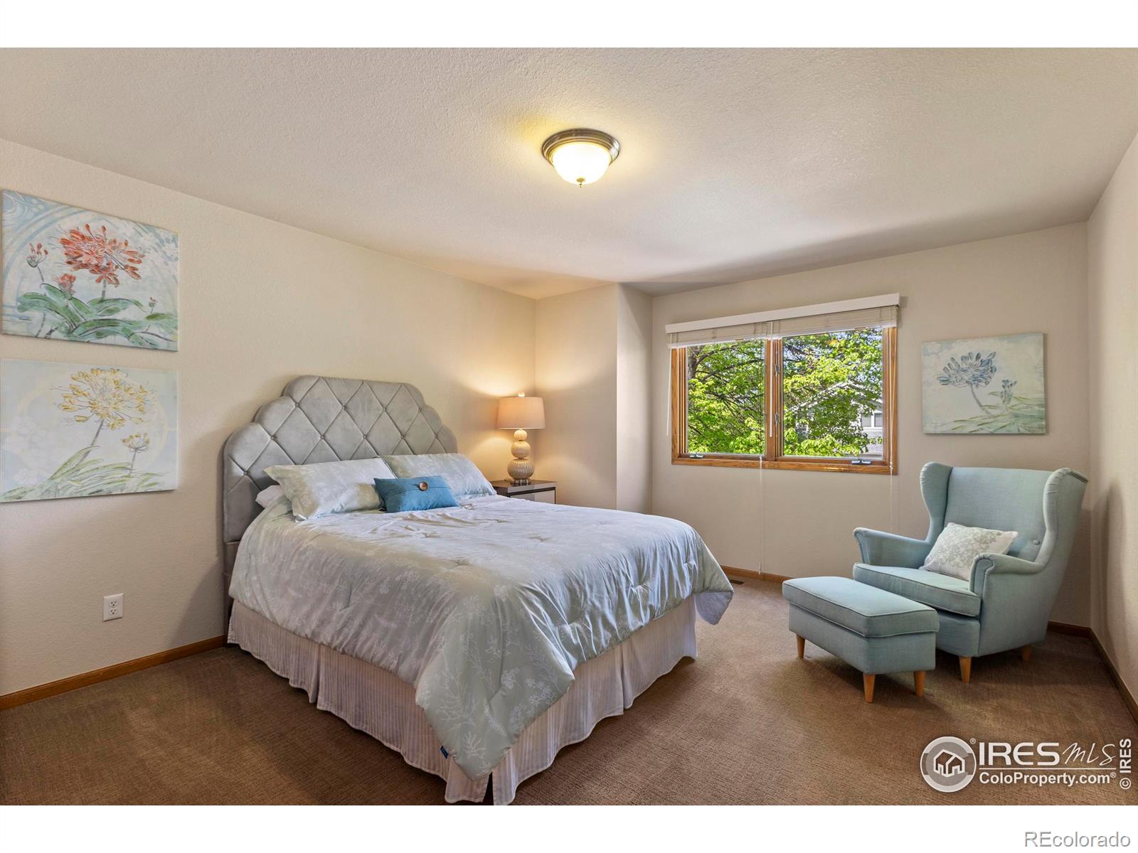 MLS Image #29 for 3712  rochdale drive,fort collins, Colorado