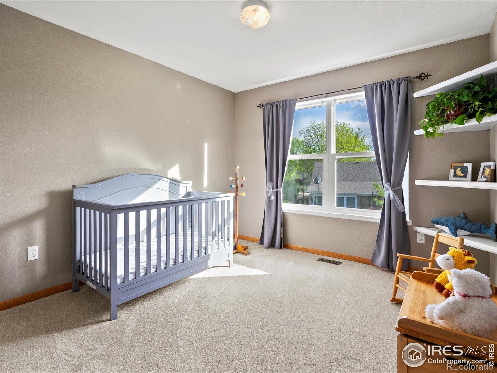 MLS Image #25 for 1141  jefferson drive,berthoud, Colorado