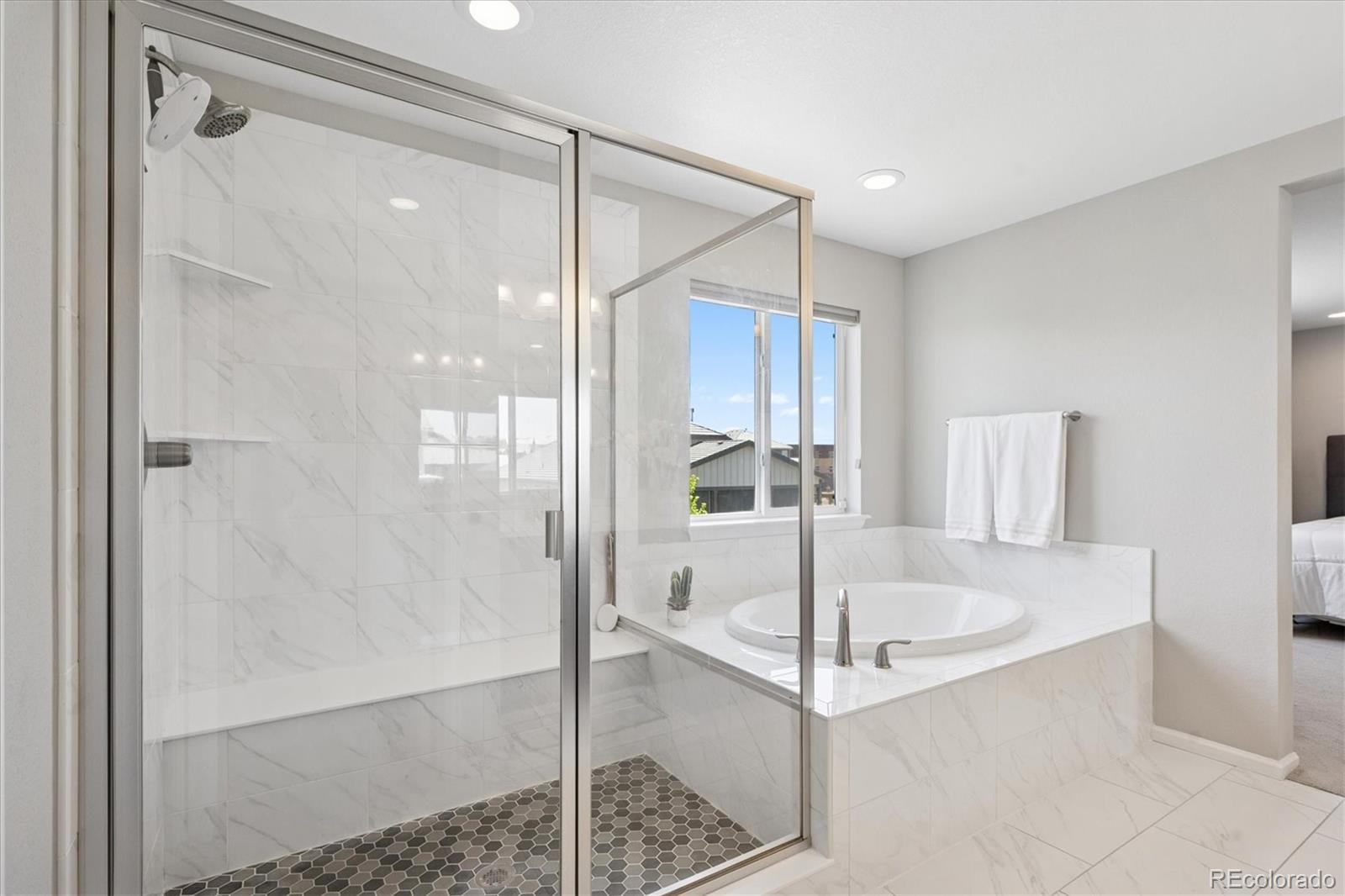 MLS Image #16 for 16268  mount silverheels way,broomfield, Colorado