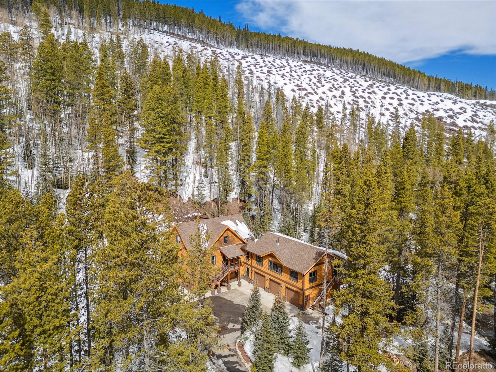 MLS Image #33 for 6087  highway 9 ,breckenridge, Colorado