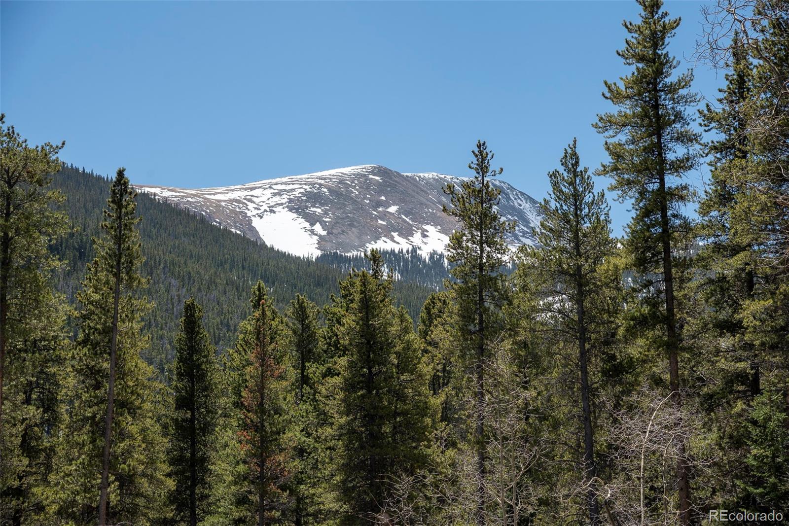 MLS Image #37 for 6087  highway 9 ,breckenridge, Colorado