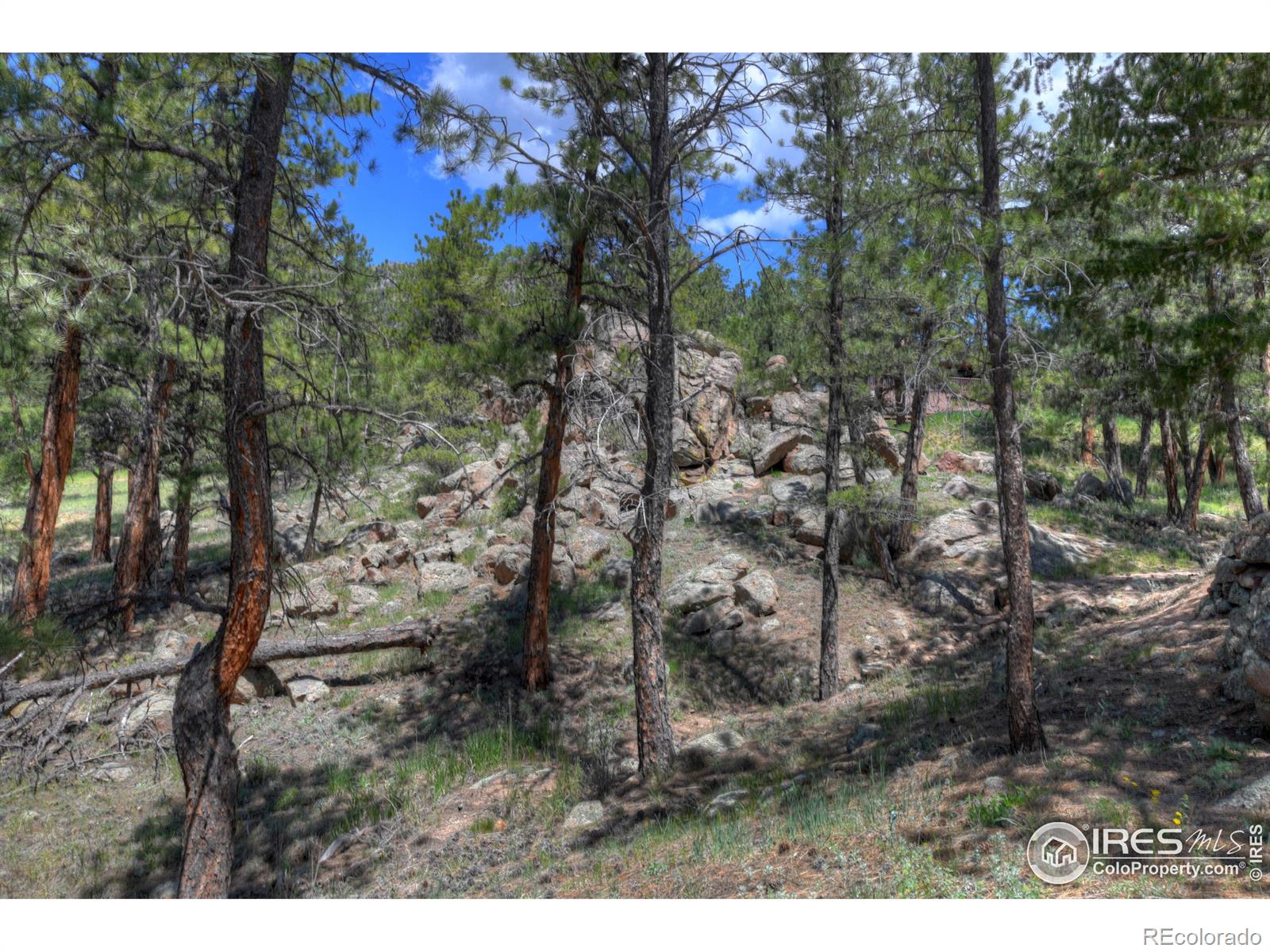 MLS Image #34 for 40  hopi court,lyons, Colorado