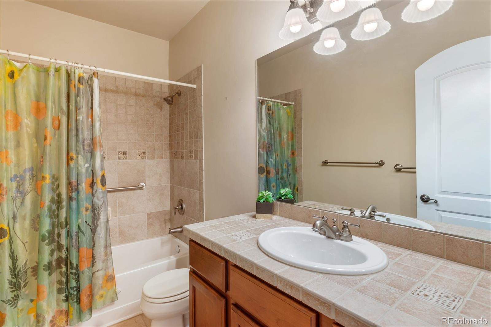 MLS Image #21 for 2432  pine valley view,colorado springs, Colorado