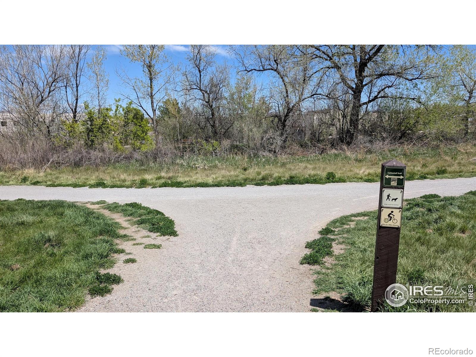 MLS Image #36 for 5646  rim rock court,boulder, Colorado