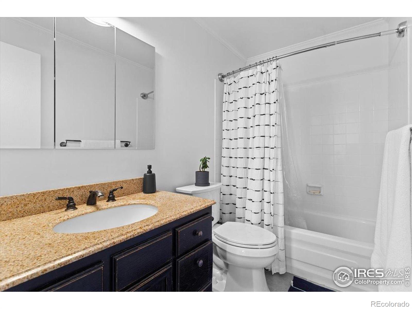 MLS Image #16 for 3337  hickok drive,fort collins, Colorado