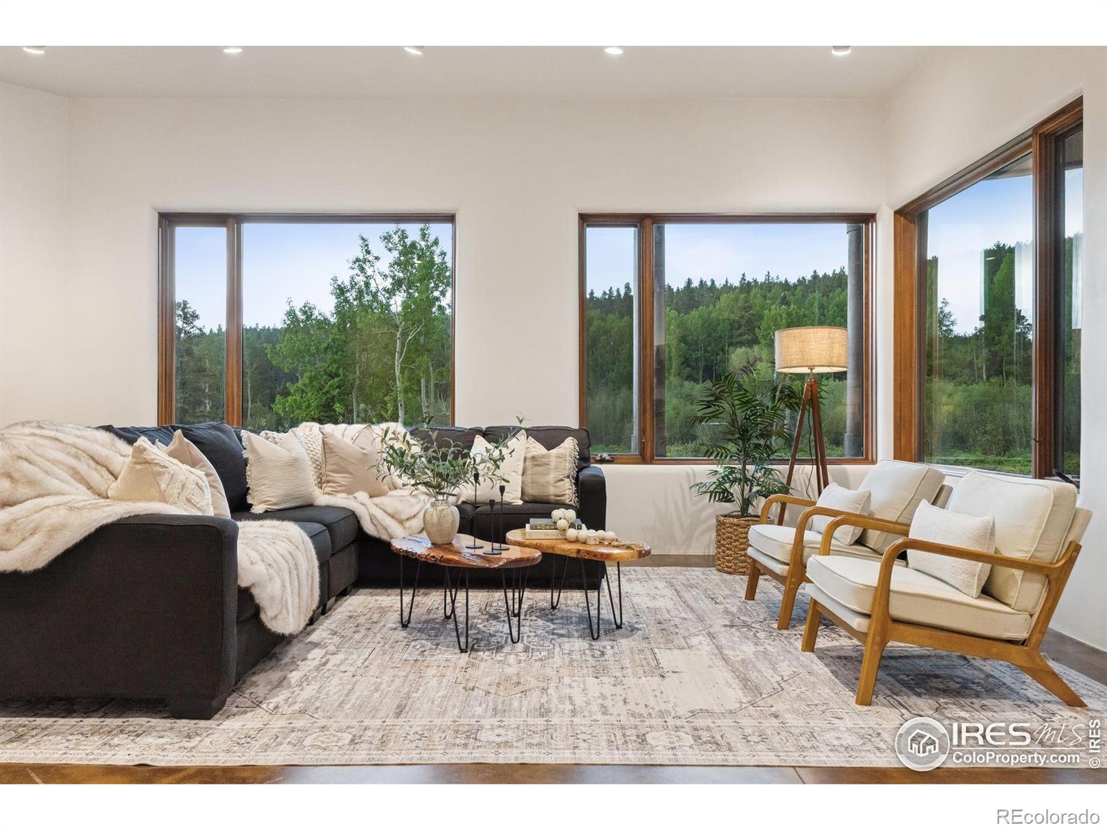 MLS Image #17 for 1460  karlann drive,black hawk, Colorado