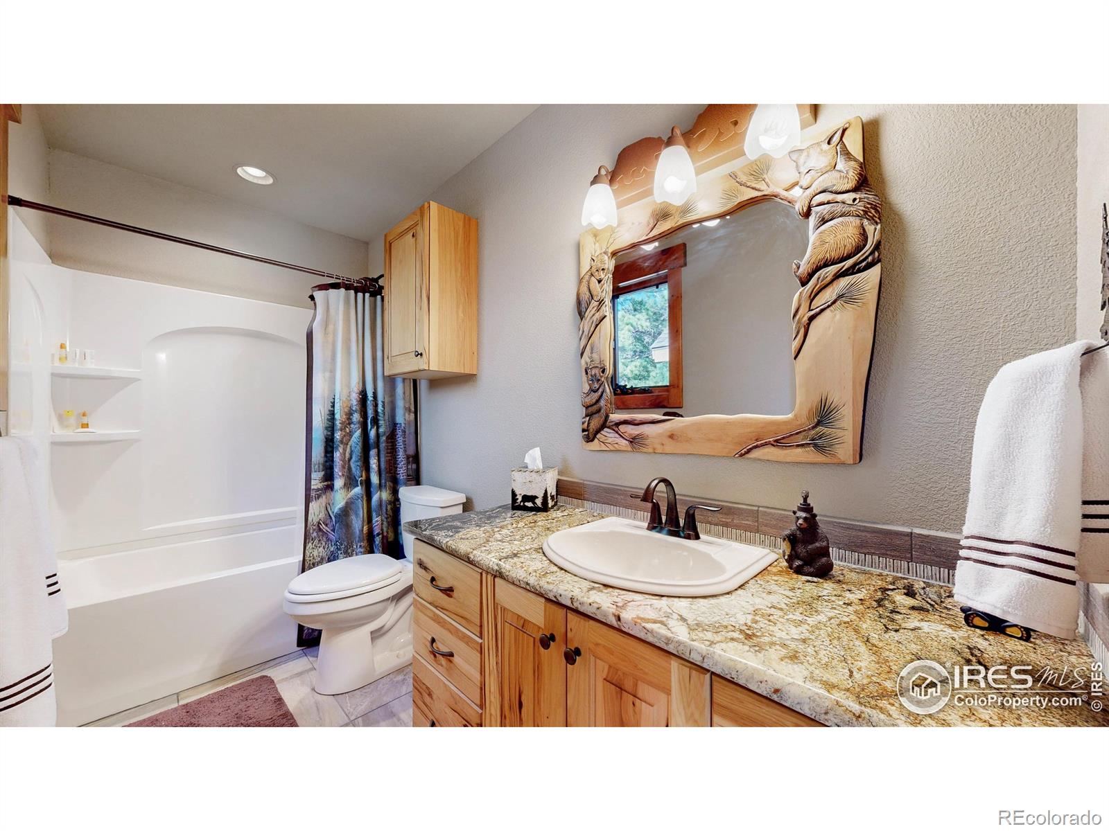 MLS Image #27 for 1049  pine knoll drive,estes park, Colorado