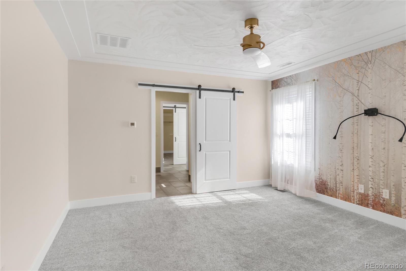 MLS Image #15 for 306 e iowa avenue,berthoud, Colorado
