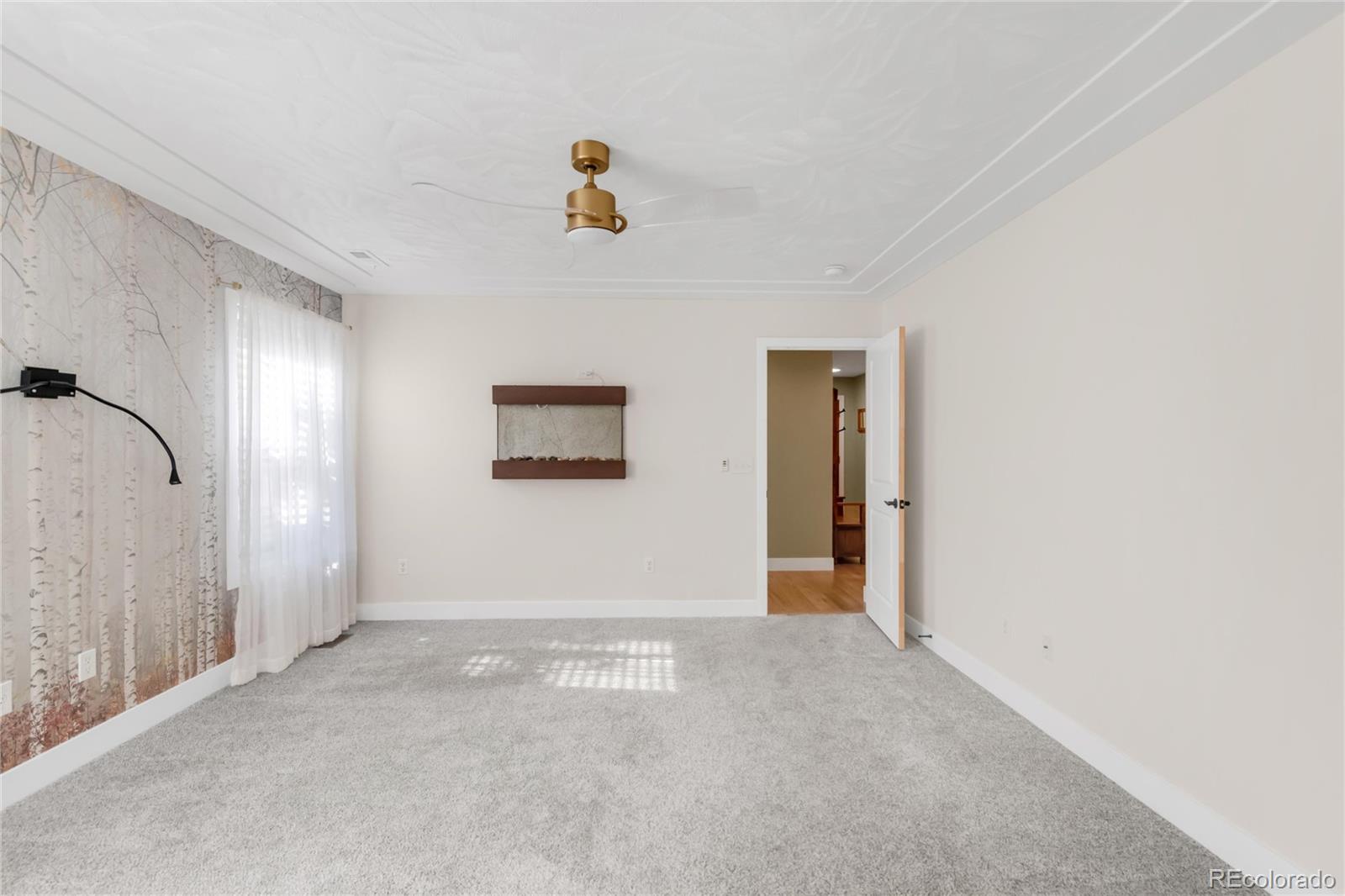 MLS Image #16 for 306 e iowa avenue,berthoud, Colorado