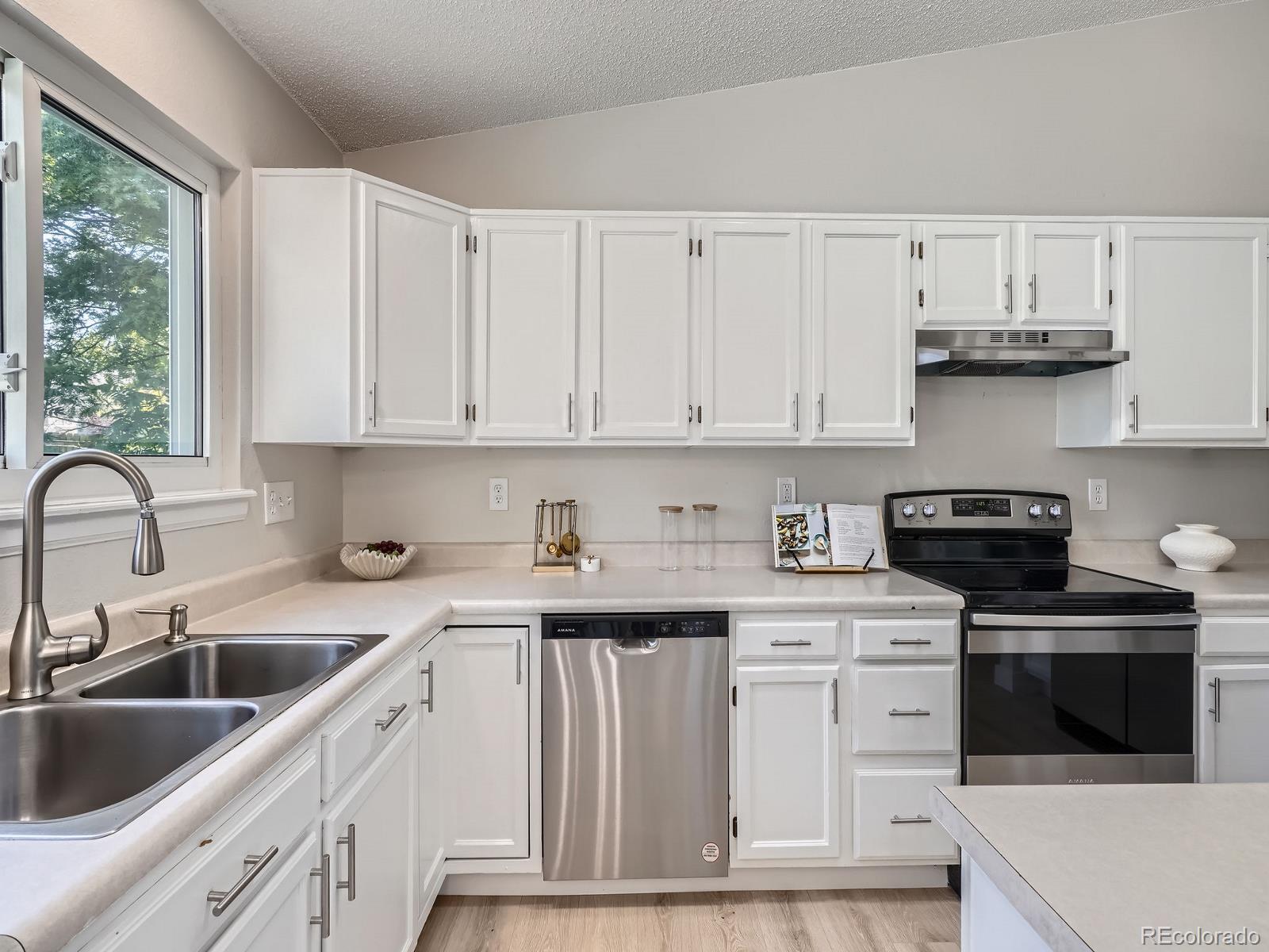 MLS Image #10 for 17014  carr avenue,parker, Colorado