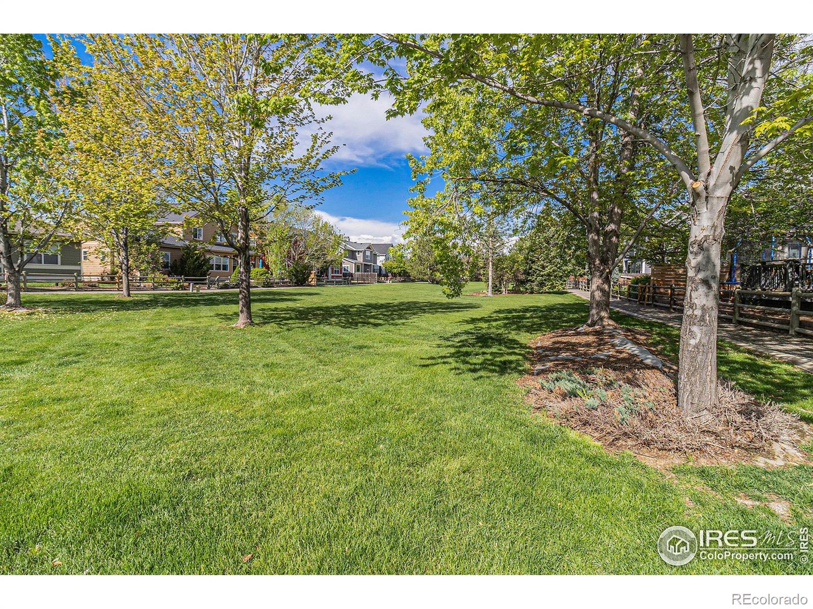 MLS Image #21 for 4005  frederick circle,longmont, Colorado