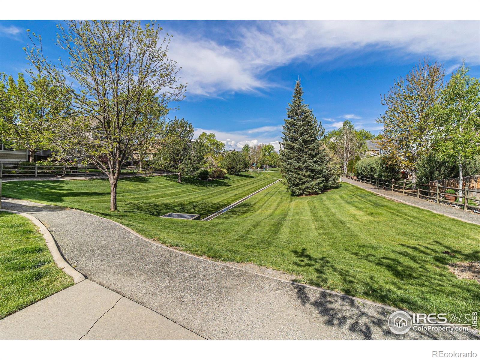 MLS Image #24 for 4005  frederick circle,longmont, Colorado