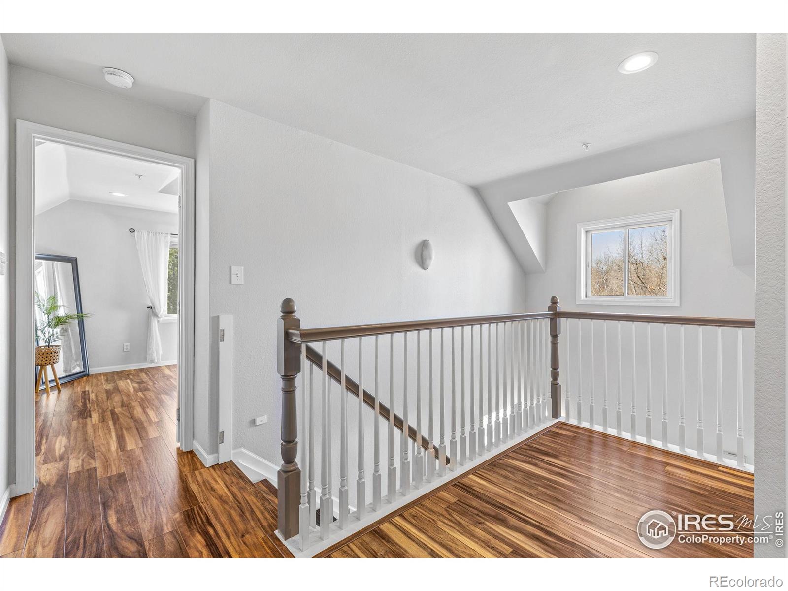 MLS Image #18 for 7430  cardinal lane,longmont, Colorado