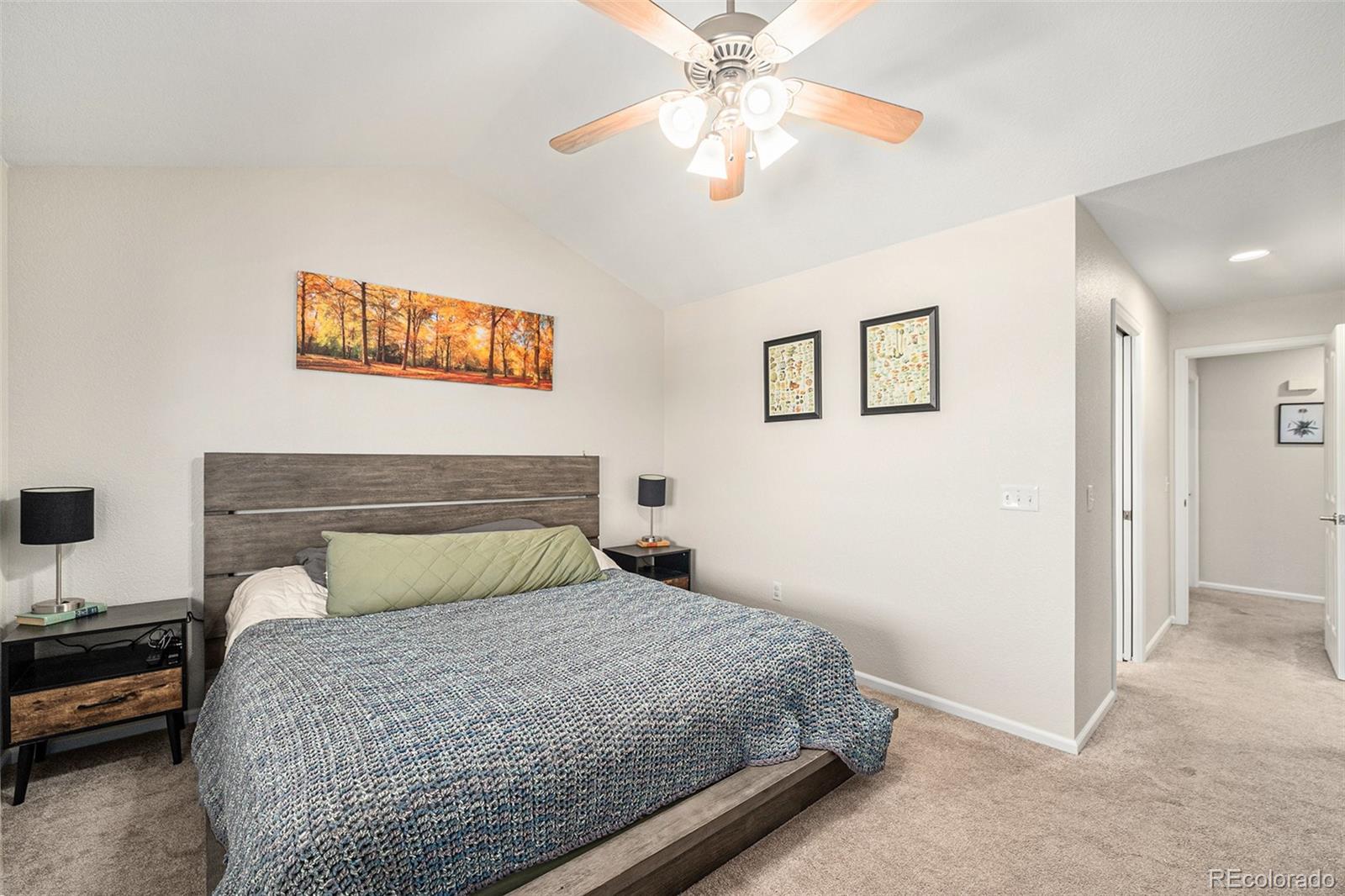 MLS Image #12 for 10818  cimarron street,firestone, Colorado