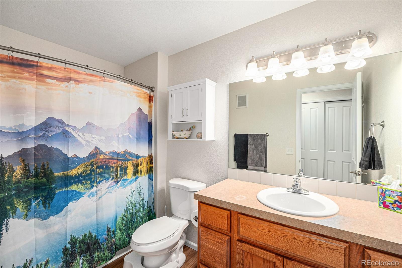 MLS Image #18 for 10818  cimarron street,firestone, Colorado