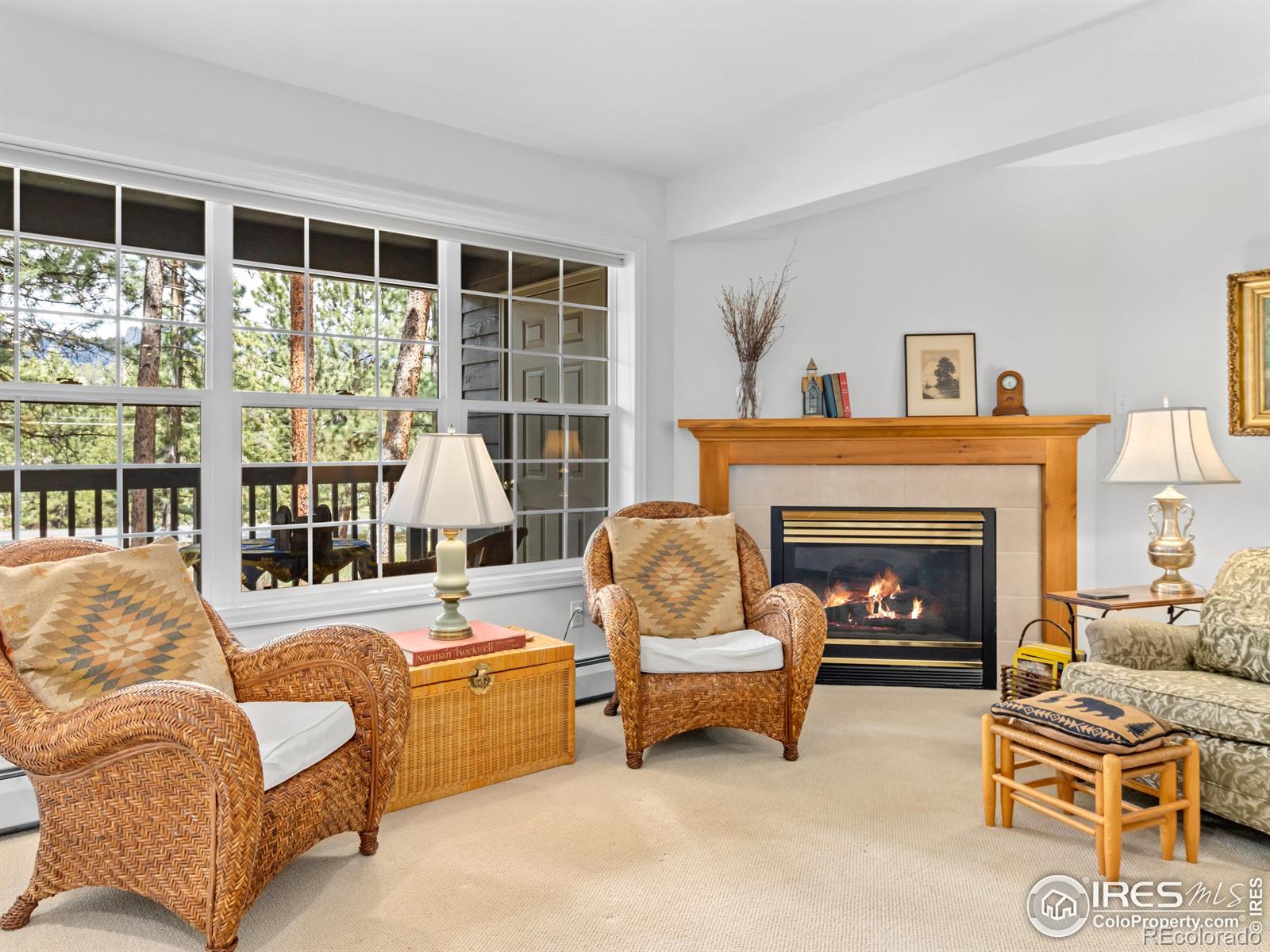 MLS Image #12 for 160  riverside drive,estes park, Colorado