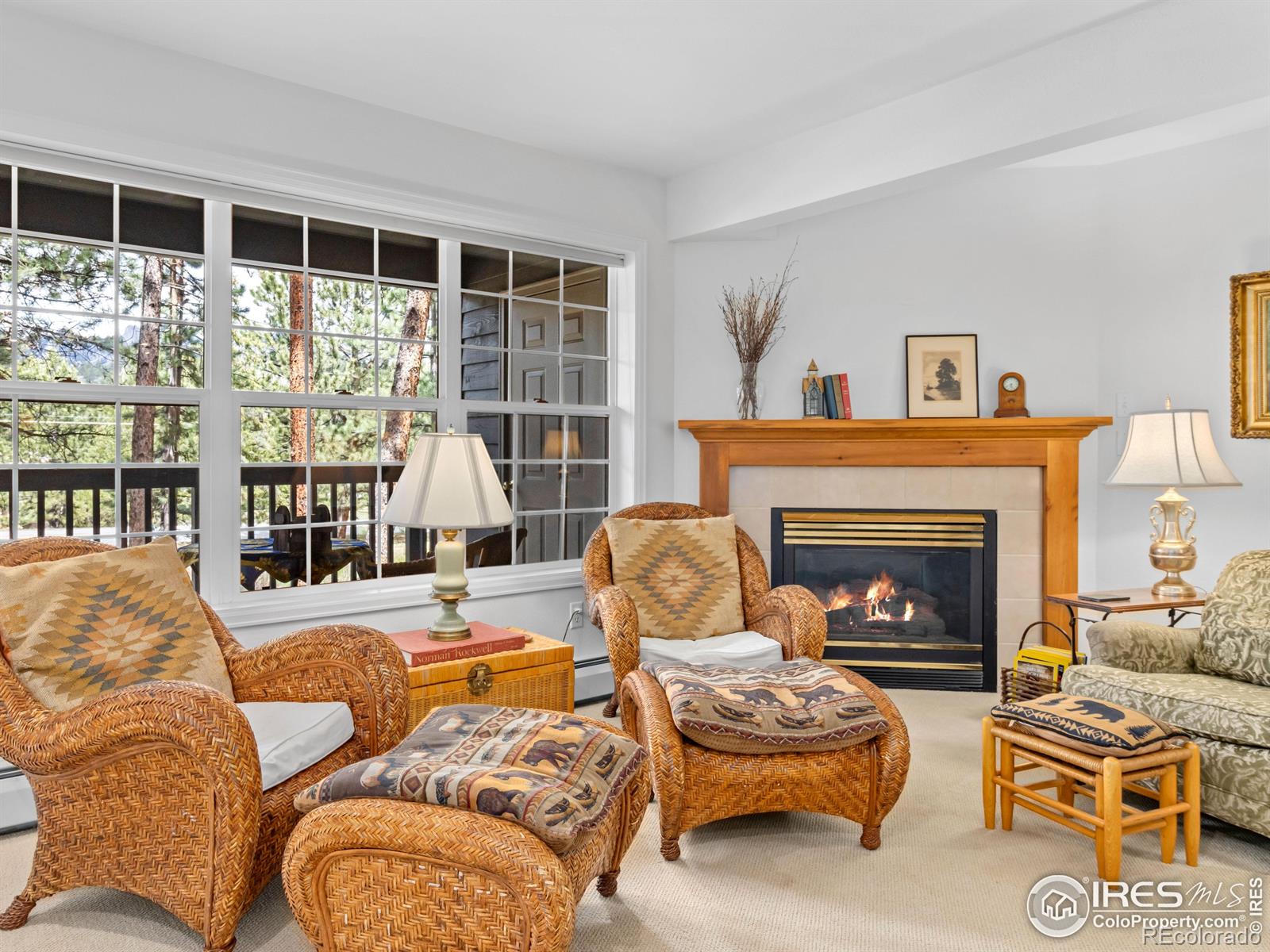 MLS Image #7 for 160  riverside drive,estes park, Colorado