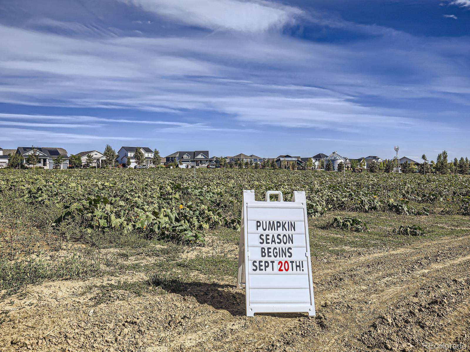 MLS Image #44 for 2143  bouquet drive,windsor, Colorado