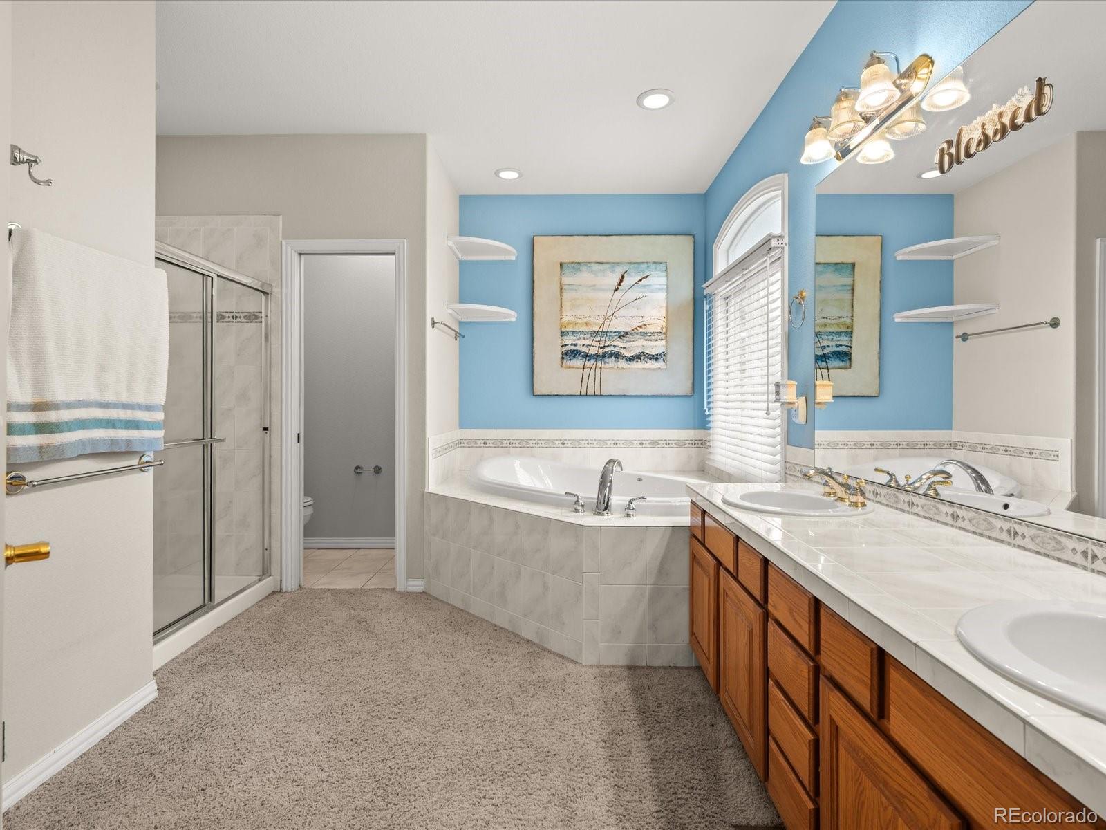 MLS Image #24 for 10631  clarke farms drive,parker, Colorado