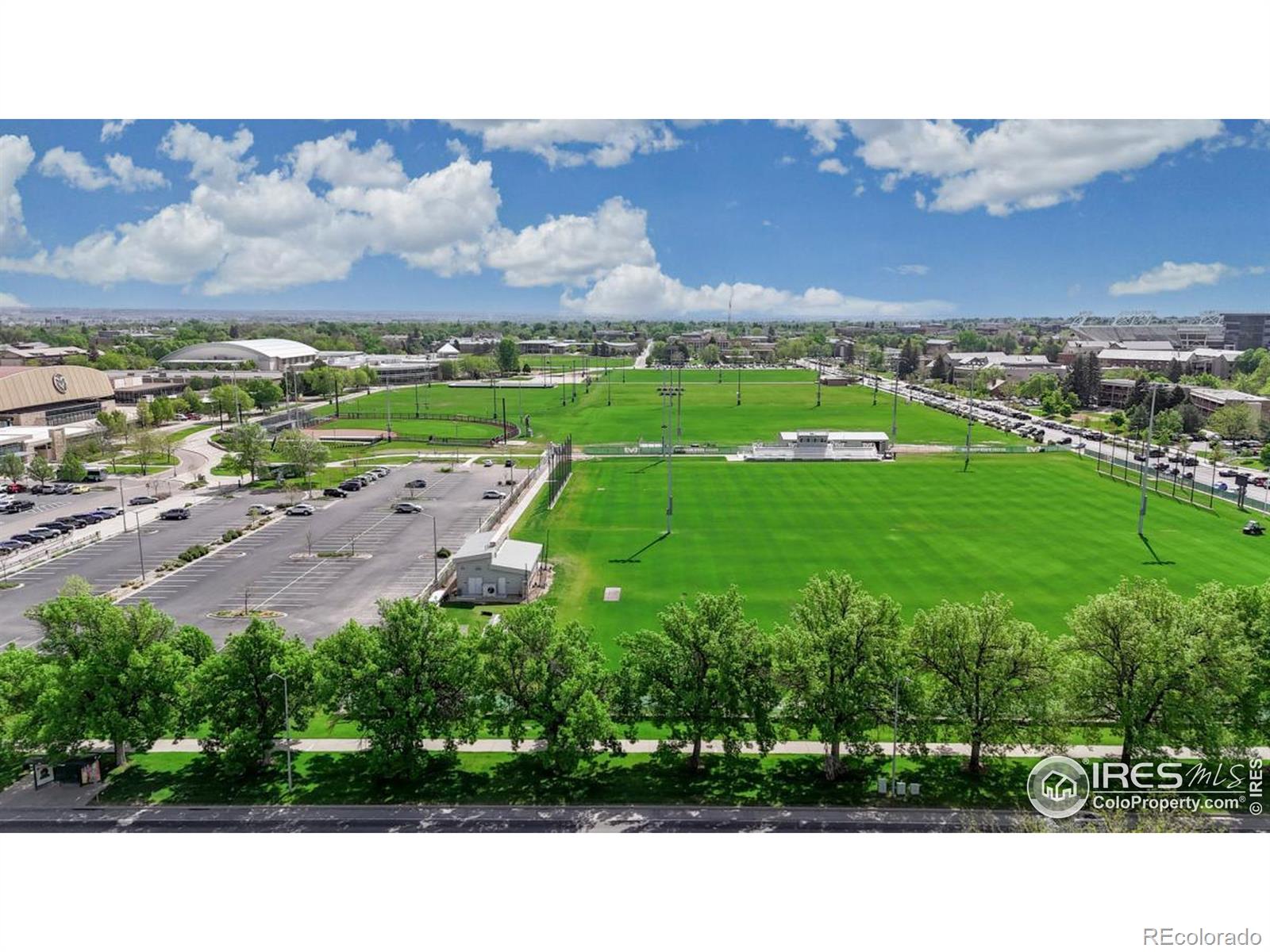 MLS Image #37 for 1209 w plum street,fort collins, Colorado