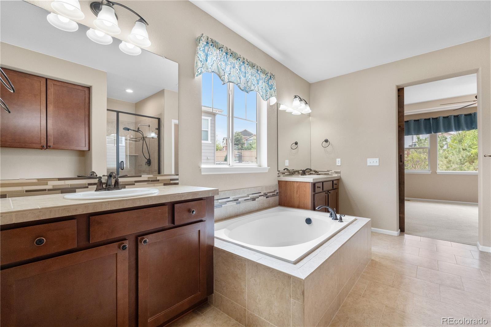 MLS Image #20 for 3995  manorbrier circle,castle rock, Colorado