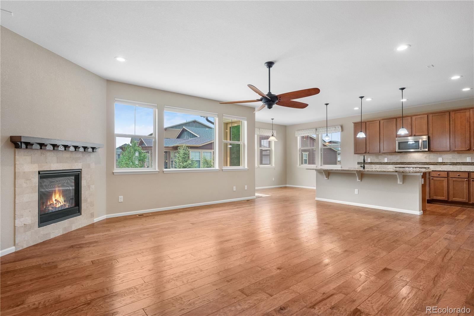 MLS Image #3 for 3995  manorbrier circle,castle rock, Colorado