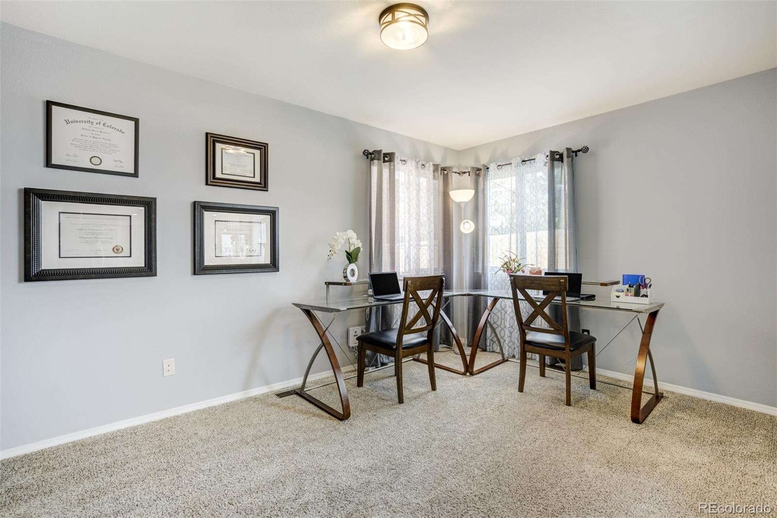 MLS Image #20 for 6527  many moon drive,colorado springs, Colorado