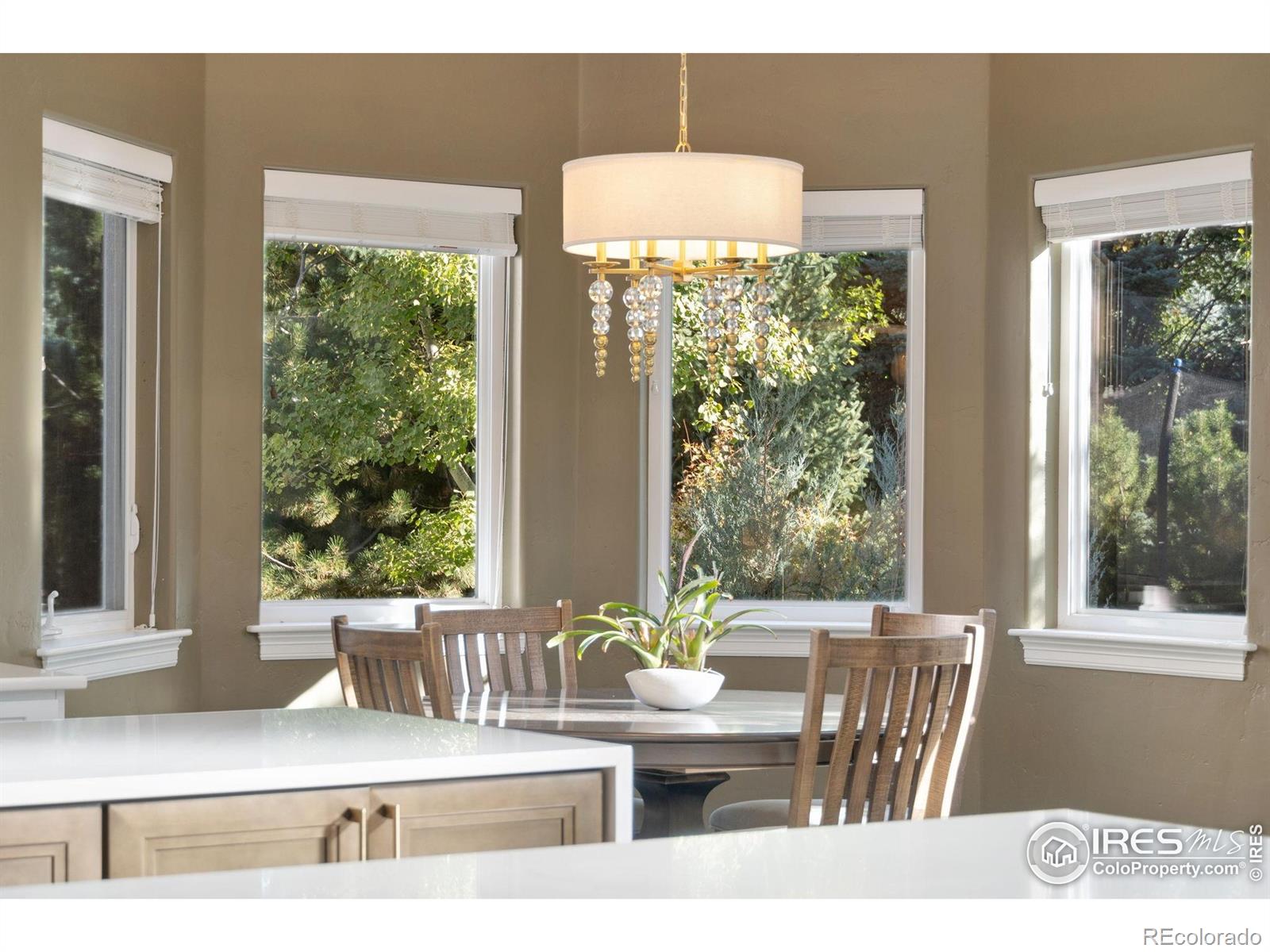 MLS Image #6 for 1702  montgomery circle,longmont, Colorado