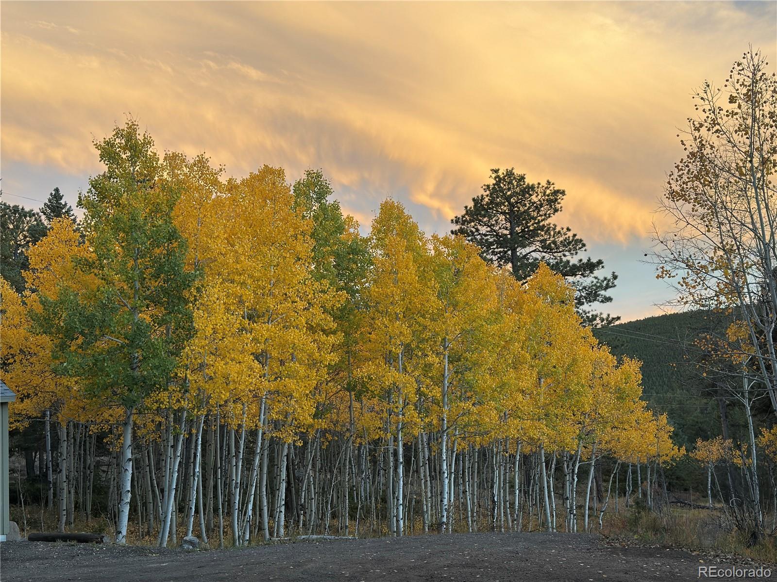MLS Image #40 for 597  pine glade road,nederland, Colorado
