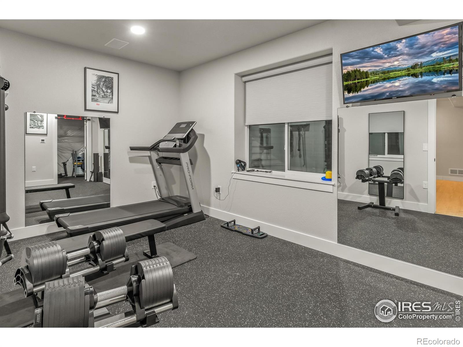 MLS Image #21 for 1735  long shadow drive,windsor, Colorado
