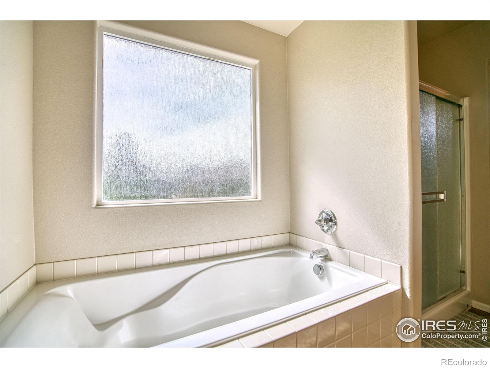 MLS Image #17 for 2069  vineyard court,windsor, Colorado
