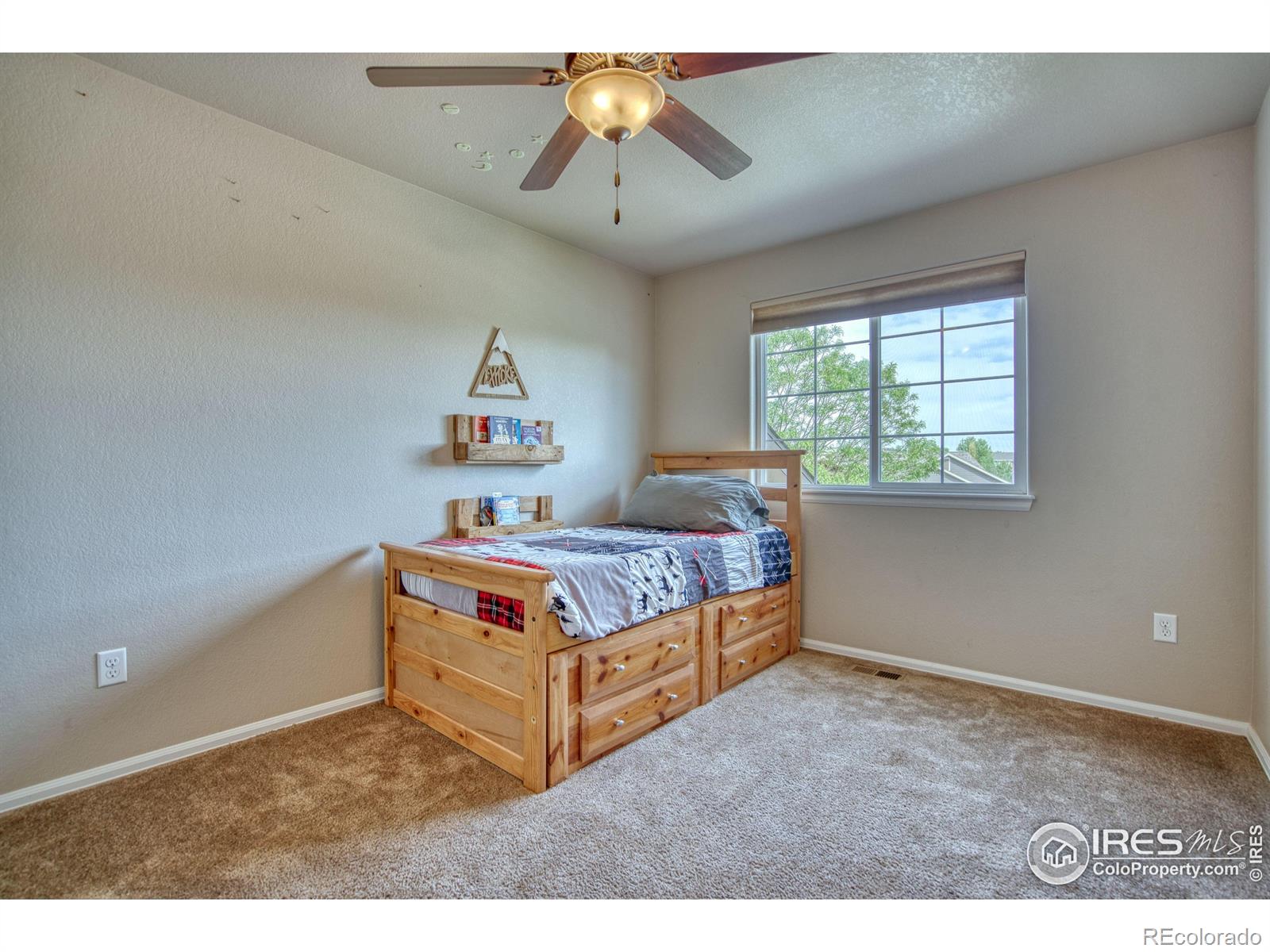 MLS Image #19 for 2069  vineyard court,windsor, Colorado
