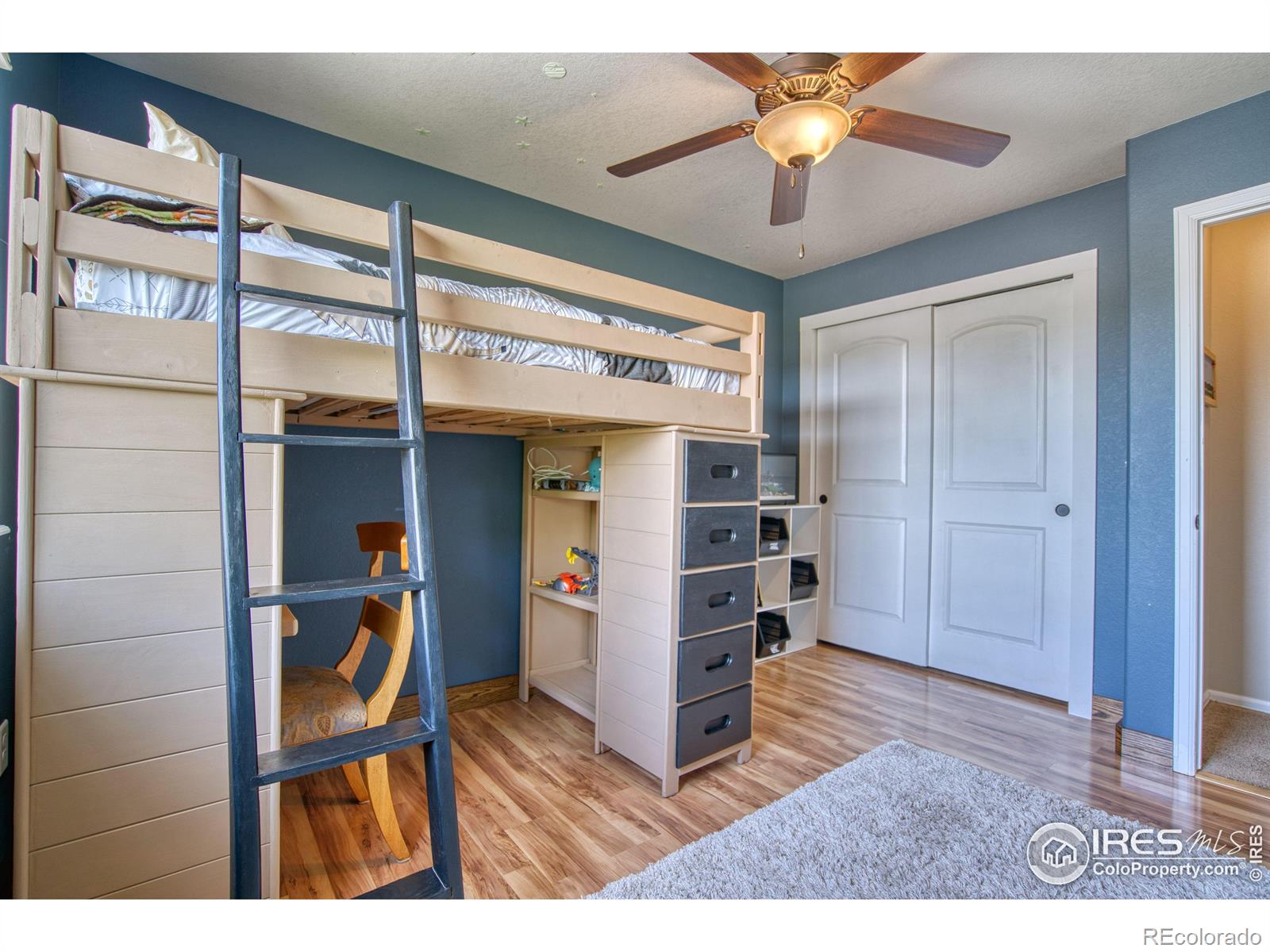 MLS Image #21 for 2069  vineyard court,windsor, Colorado