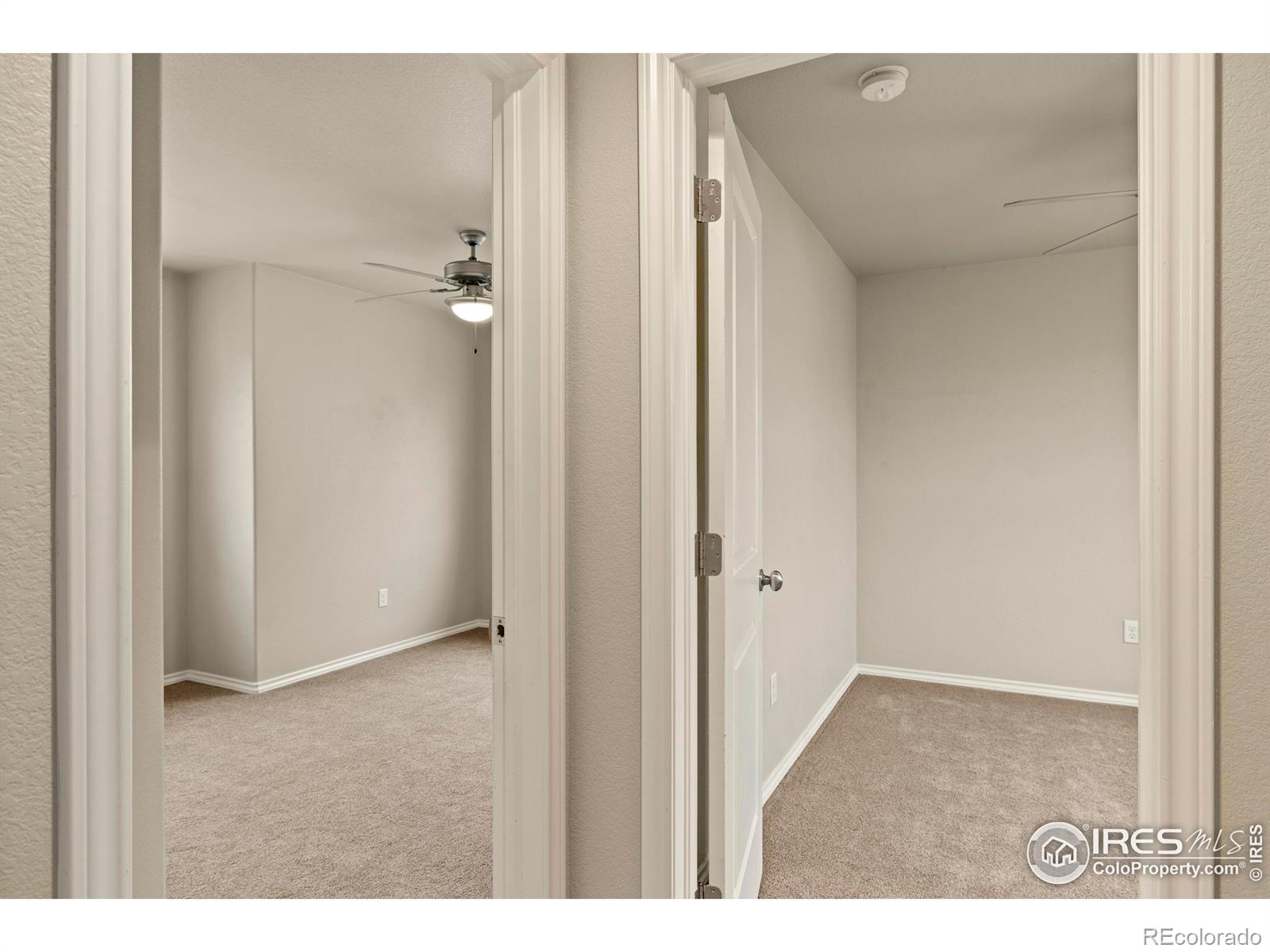 MLS Image #23 for 426  noquet court,fort collins, Colorado