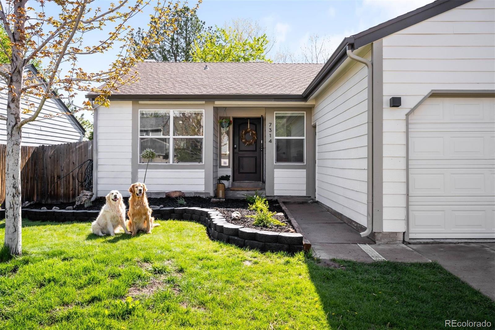 MLS Image #0 for 7314 s sheephorn mountain,littleton, Colorado