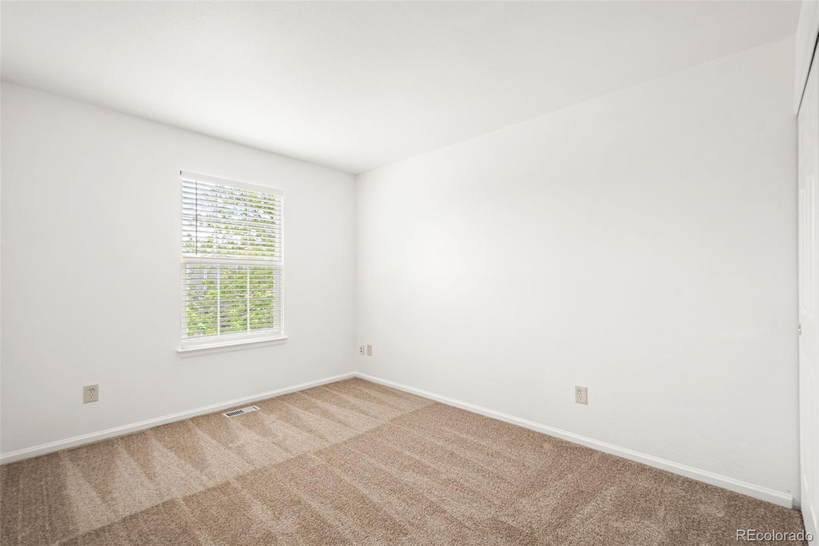 MLS Image #19 for 9753  gatesbury circle,highlands ranch, Colorado