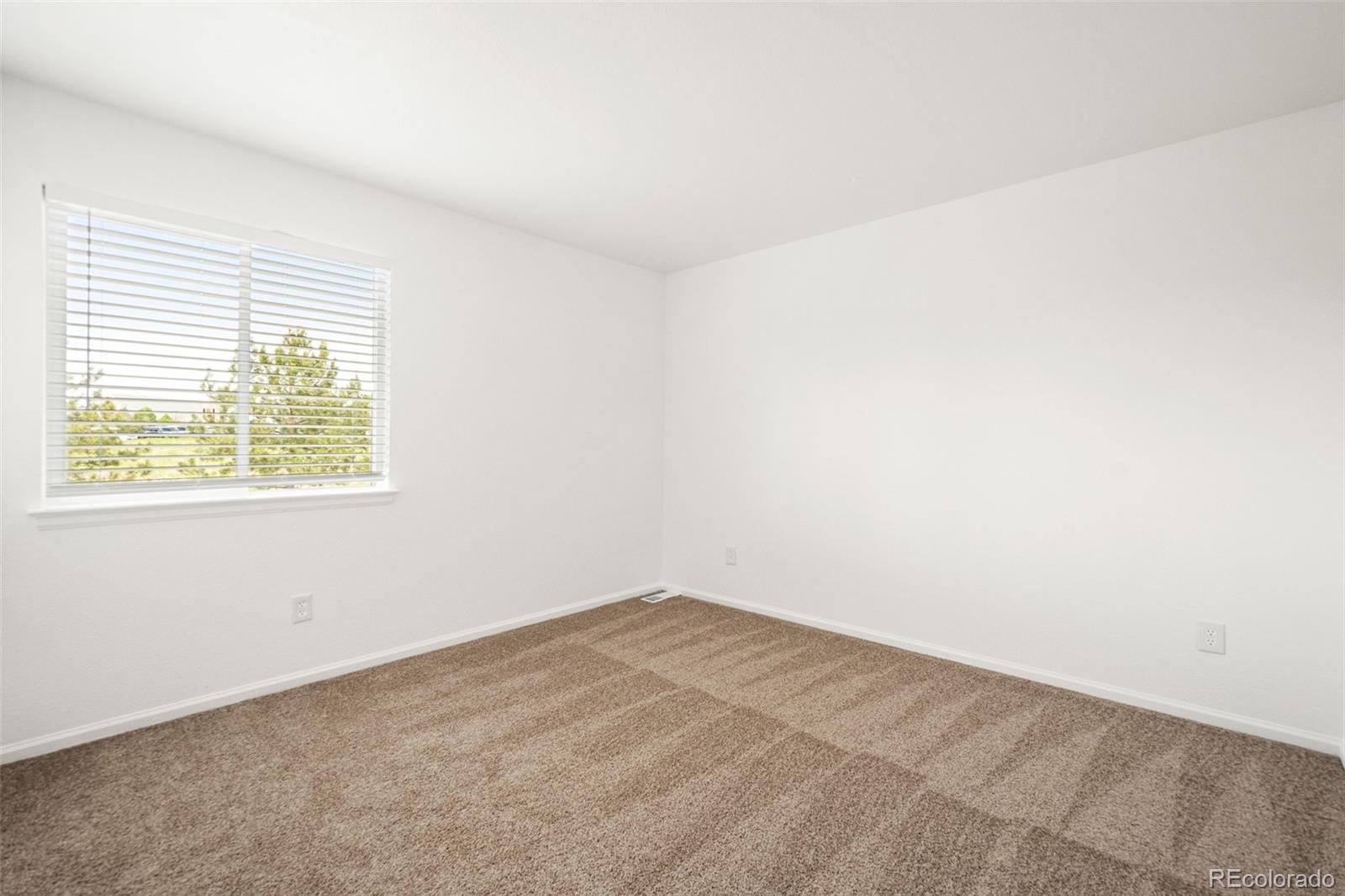 MLS Image #21 for 9753  gatesbury circle,highlands ranch, Colorado
