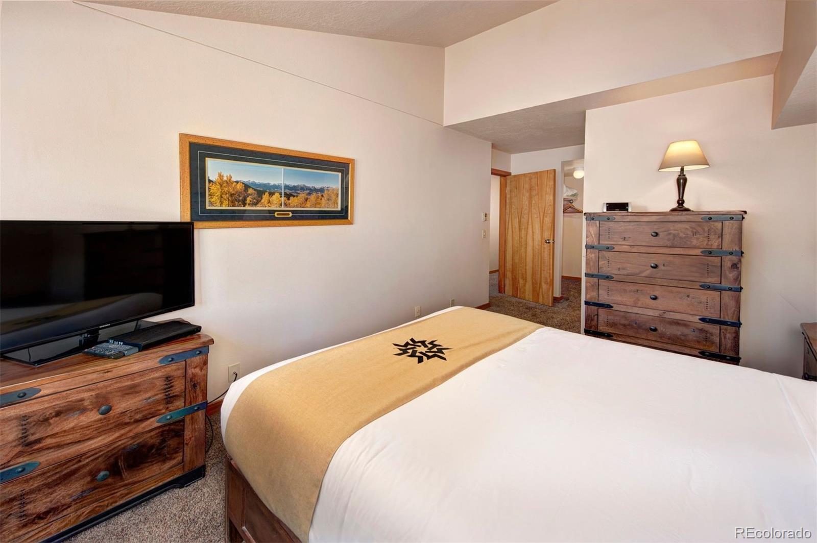 MLS Image #15 for 21660  us highway 6 ,keystone, Colorado
